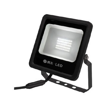 DanceLight LED 30W 宙斯泛光燈 白光 140度 IP66 防水 投光燈 全電壓