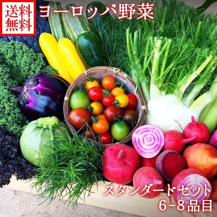 冬ギフト ヨーロッパ野菜 詰め合わせ スタンダード セット 6-8品目 珍しい 野菜 set プレゼント お取り寄せ