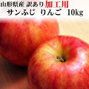 予約販売 加工用 訳あり りんご サンふじ 10kg 送料無料 山形県産 お買い得 ジュース用 [加工用りんご１０キロ]