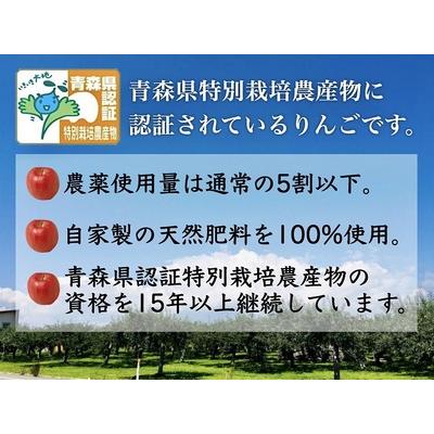 ふるさと納税 1月発送 訳あり 家庭用 葉とらずサンふじ 約5kg 青森県特別栽培農産物認証農園 青森県弘前市