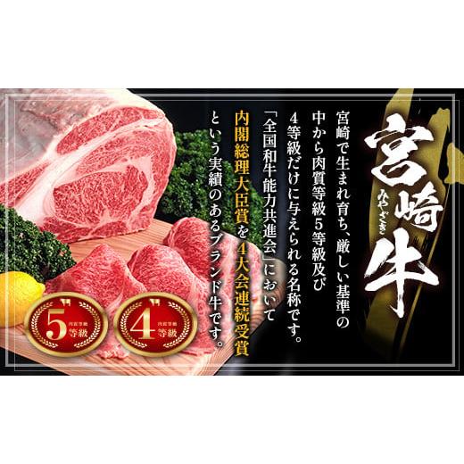 ふるさと納税 宮崎県 新富町 ≪肉質等級A4ランク≫宮崎牛 ロースステーキ 合計500g（250g×2枚） ※90日程度でお届け