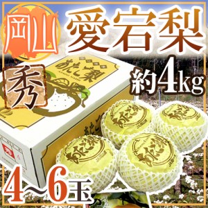 岡山産 ”愛宕梨” 秀品 超大玉4～6玉前後 約4kg 化粧箱 あたご梨 送料無料