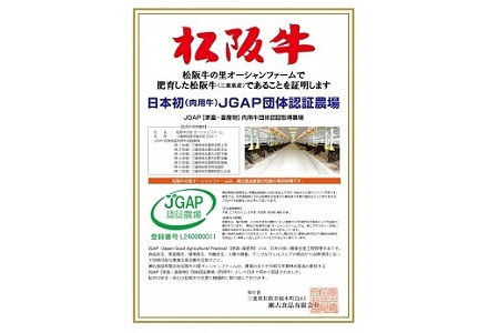 J26松阪牛焼肉（赤身）400g