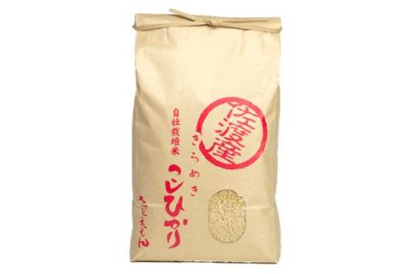 自社栽培米佐渡産こしひかり（玄米5kg）