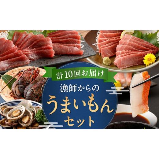 ふるさと納税 高知県 室戸市 漁師からのうまいもん定期便 定期便 海鮮 10回 海産物 魚 刺身 マグロ カツオ 刺身 ネギトロ 伊勢海老 金目…