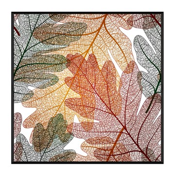 Boluo 菠蘿選畫所 紅楓葉舞 BFWP4422G 40 x 40cm 畫框  金色