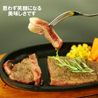 ふるさと納税 杵築市 おおいた和牛ロースステーキ 200g×2枚・ヒレステーキ 150g×2枚(杵築市)