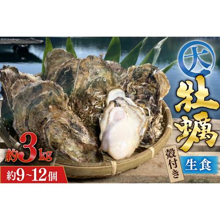 ふるさと納税  牡蠣 大粒 3〜4年モノ 生食 殻付き牡蠣 約3kg(約9-12個入) [住喜水産 宮城県 気仙沼市 20562174] 期間限定 冷蔵 .. 宮城県気仙沼市