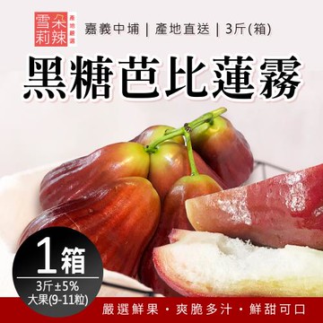 【雪莉朵辣嚴選】黑糖芭比蓮霧 3斤箱(約9-11粒) x1箱
