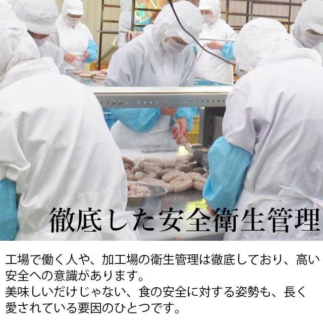 お歳暮 ハム ギフト 送料無料 北海道 トンデンファーム大満足 増量セットB(Z-B)   御歳暮 冬ギフト セット ハムギフト ハムセット ベーコン 内祝い