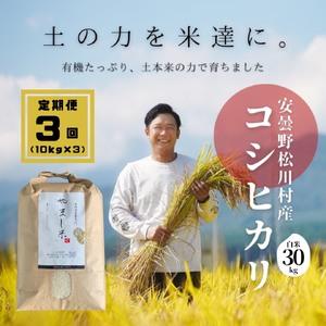 ふるさと納税 安曇野松川村産コシヒカリ 定期便(10kg×3回) 長野県松川村