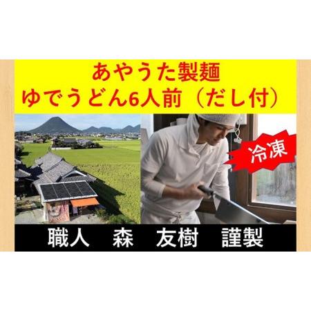 ふるさと納税 うどん あやうた製? ゆでうどん 6人前 だし 付き 冷凍 丸亀 讃岐 讃岐うどん さぬきうどん つゆ 小袋 付き セット 麺類 加工食品 .. 香川県丸亀市