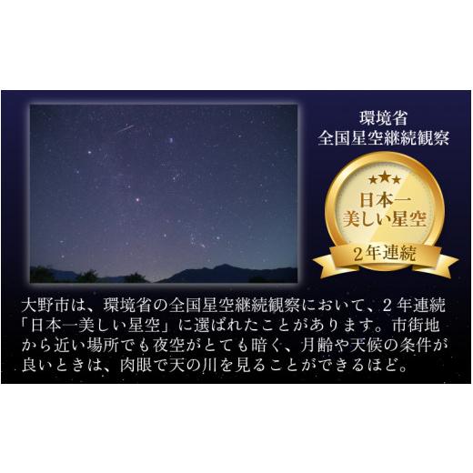 ふるさと納税 福井県 大野市 星降るまち 越前大野の「満天コシヒカリ」玄米 10kg 農薬・化学肥料50%以上カットの特別栽培米