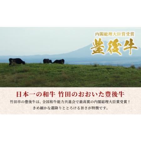 ふるさと納税 日本一の和牛 おおいた豊後牛  サーロインステーキ 200g 大分県竹田市