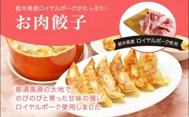 「宇都宮餃子館」お肉餃子 960ｇ（４８個）≪ギョーザ 冷凍餃子 冷凍食品 グルメ 食品 惣菜 中華惣菜 点心 中華≫