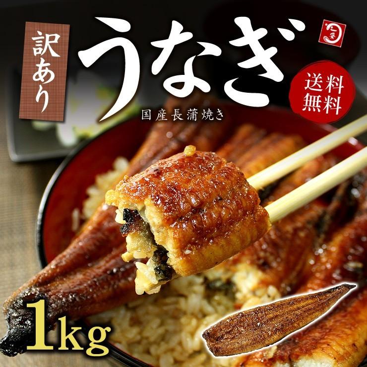 うなぎ ウナギ 国産 蒲焼き1kg 訳あり メガ盛り《eel-ue3》〈ue1〉yd5[[訳ありウナギ蒲焼き500g-2p]