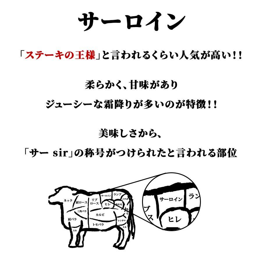 お歳暮 御歳暮 肉 焼肉 牛肉 霜降り 黒毛和牛 A5 ブロック 塊 サーロイン 800g 冷凍 プレゼント ギフト 贈り物