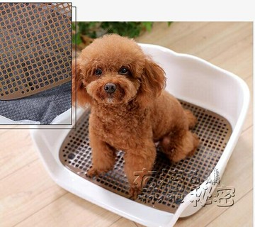 寵物狗狗廁所上泰迪小狗柯基小型犬拉便便盆防踩屎尿盆神器用品 幸福驛站