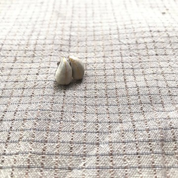 淚晶 /耳環 針狀 陶瓷 不鏽鋼 眼淚珍珠 精細