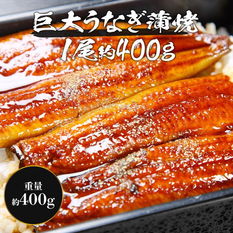 うなぎ 訳あり 巨大うなぎ蒲焼 1尾 1本 約400g前後 送料無料 大きすぎる訳あり品 ウナギ 鰻 グルメ 食品 お歳暮 ギフト うな飯 10%クーポン