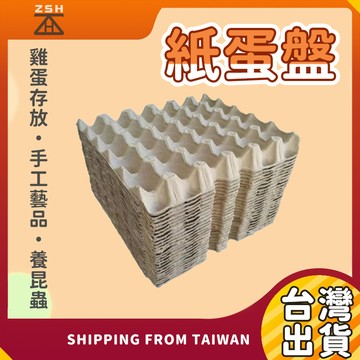 爬蟲飼養蛋托 飼養蛋托盤 紙蛋托盤 紙蛋盤 蛋托貓抓板