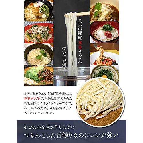 林泉堂｜秋田ご当地麺セット(2人前×５袋) (稲庭本生うどん)