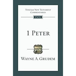 Peter (Paperback)