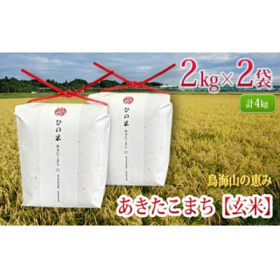 あきたこまち 玄米 2kg×2 計4kg ひの米[No.5934-0001]