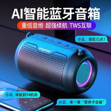 【炫彩TWS串聯喇叭 5.0 支援256G 小鋼炮】重低音音響 LED彩燈 立體聲 喇叭 喇叭