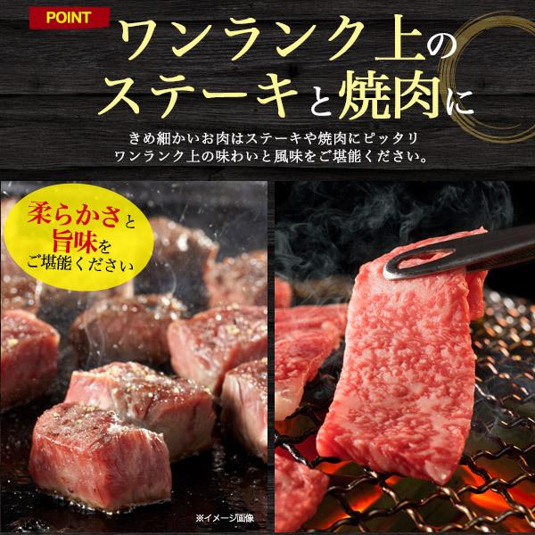 神戸牛 松阪牛 極セット 1.2kg 高級 肉 ステーキ 焼き肉 希少部位  肩ロース モモ ヒレ ロース 食べ比べ A5 国産 送料無料 冷凍便 お肉