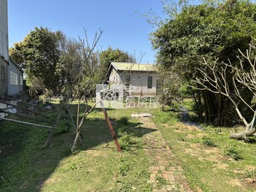 觀音區66旁下青埔段特農+資材室｜桃園市觀音區樹子腳