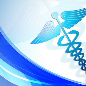 의료기술 및 의료기술평가