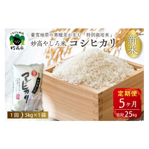 ふるさと納税 新潟県 妙高市 令和5年産新潟県妙高やしろ米コシヒカリ25kg(5kg×5回)