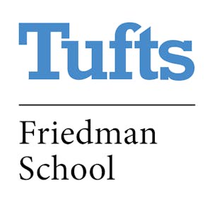 Building a Healthy Plate