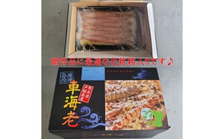 車海老の味噌漬（中～大サイズ）計750g（250g×3）海老 えび 味噌漬け