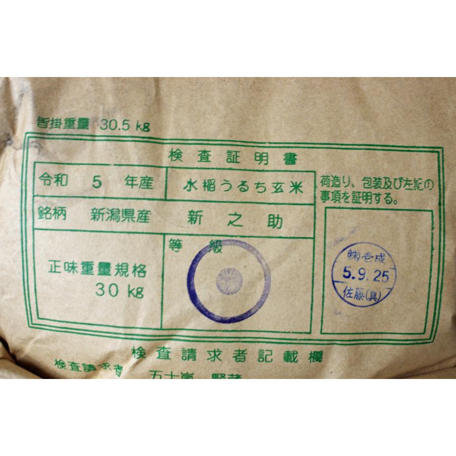 新米5年産 新之助 新潟県産 玄米5Kg 白米・７分づき・５分づき・３分づき・玄米・精米無料