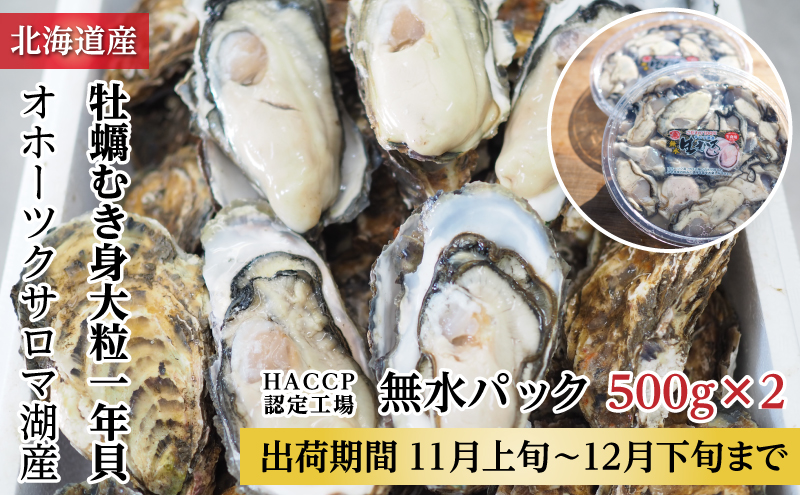 カキ むき身 大粒 1年貝 1kg（500g無水パック×2） 佐呂間産  サロマ湖 北海道 オホーツク 佐呂間町 牡蠣 海鮮 魚介