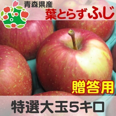 葉とらず ふじ 特選 大玉 5kg りんご 贈答 サンふじ 青森県産 11月下旬収穫