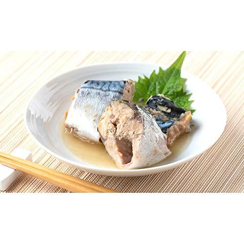 信田缶詰 国産 鯖水煮 190g ×24個