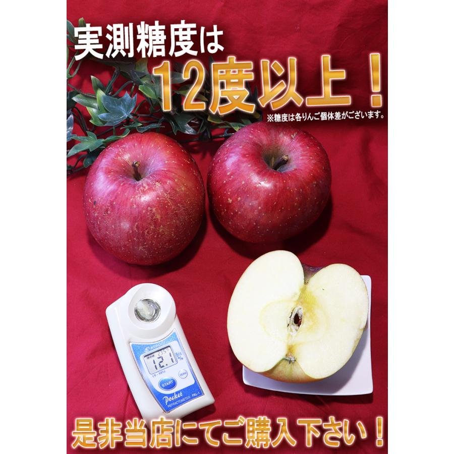 太陽ふじりんご 赤リンゴ 約5kg 12〜20玉 青森県産 みずみずしいシャキッとした食感の青森リン サンフジ りんご 林檎