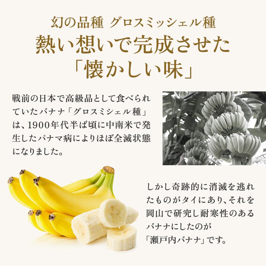 瀬戸内バナナ バナナ フルーツ 無農薬 岡山県産 特秀 2-3本入り 化粧箱 国産 送料無料 産地直送 希少 フルーツギフト