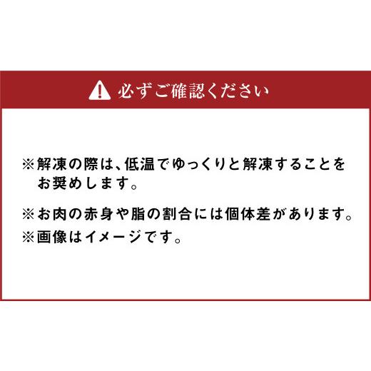 ふるさと納税 北海道 北広島市 生姜と味噌のラムジンギスカンセット 計4パック