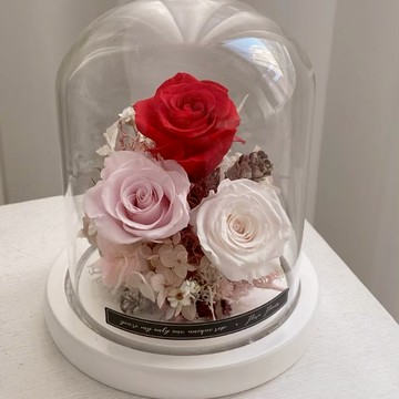 520告白禮物 永生花 【Flora Flower】永生花大玻璃罩夜燈-紅粉