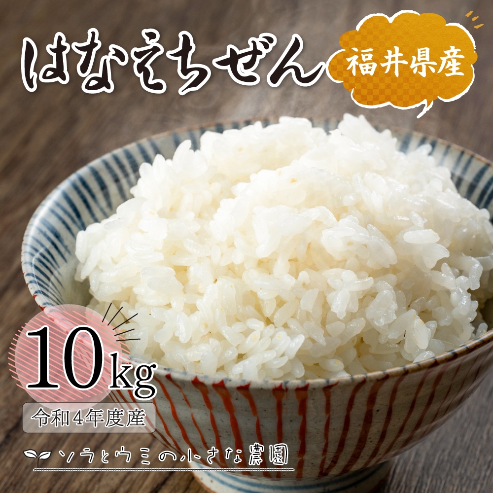 はなえちぜん 10kg 白米 令和4年産 福井県産 米 お米 おこめ 精米 単一原料米 国内産 国産