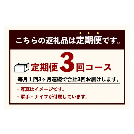 ふるさと納税 広島県 廿日市市 通年受付！　いつでもお届けブランド牡蠣づくし 3か月連続