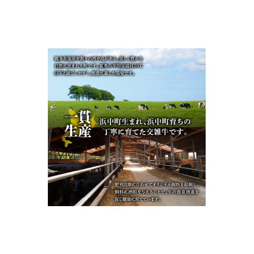 ふるさと納税 北海道 浜中町 浜中黒牛モモ肉切り落とし(640g)_H0019-005