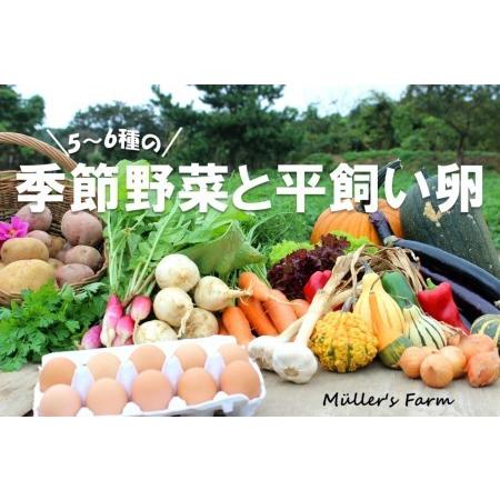 ふるさと納税 季節の野菜詰め合わせ（5〜6種）と平飼い卵セット！農薬不使用だから安心安全！ 島根県海士町