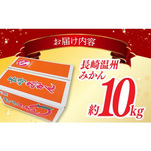 ふるさと納税 長崎県 長与町 みかん 約 10kg（100〜120個）  ／ 長与町 ＜長崎西彼農業協同組合 長与支店＞ [EAH003] 温州みかん みかん10kg 温州…