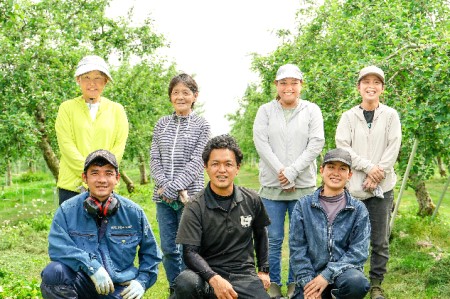 りんご 長野 あいかの香り 約 5kg 家庭用 フルーツ 果物 デザート おやつ リンゴ 林檎 あいか 産地直送 長野県 長野県産 信州産 長野県箕輪町