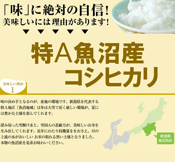 魚沼産 コシヒカリ 10kg 送料無料 新潟県産 令和4年産 10キロ お米 新米 精米 白米 こしひかり